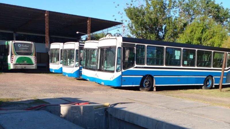 [AUDIO] Nardelli: ” Llegaron nuevos colectivos para el servicio interurbano”