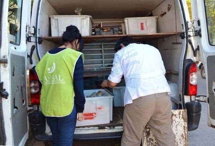 Habilitan a vehículos que transportan alimentos