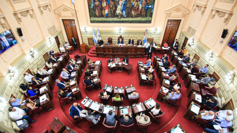 Media sanción al proyecto que dispone prisión preventiva por portación ilegal de armas