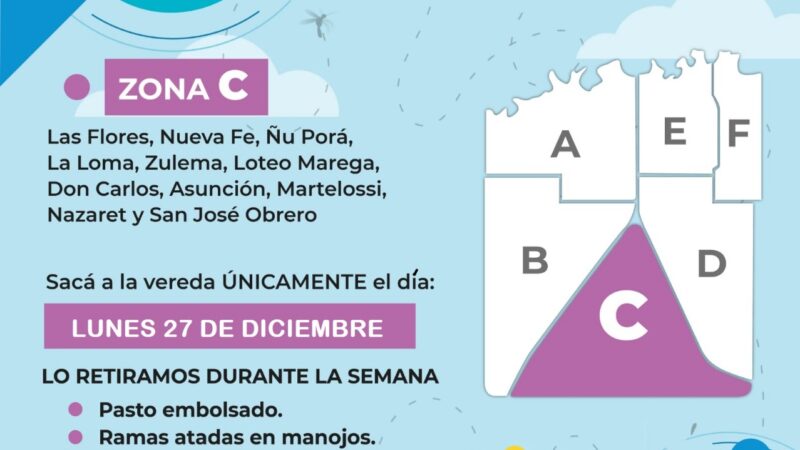 Miércoles 22 de diciembre: Patio Limpio en Zona C