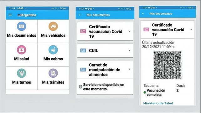 Cómo tener el pase sanitario: el paso a paso para poder tramitarlo