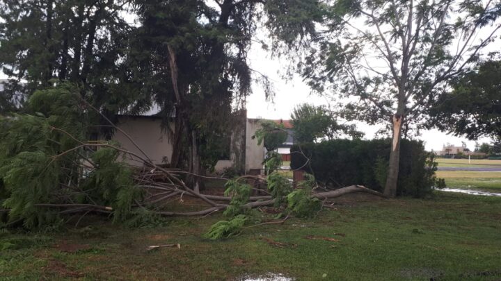 Llamá a los teléfonos 481137 – 481336 y celular 44 12 12 si fuiste afectado por el tornado