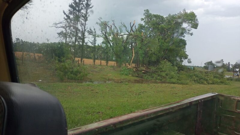 Sigue cortada la luz en la zona rural de Avellaneda