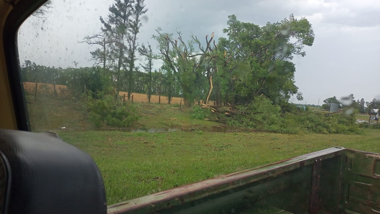 Sigue cortada la luz en la zona rural de Avellaneda
