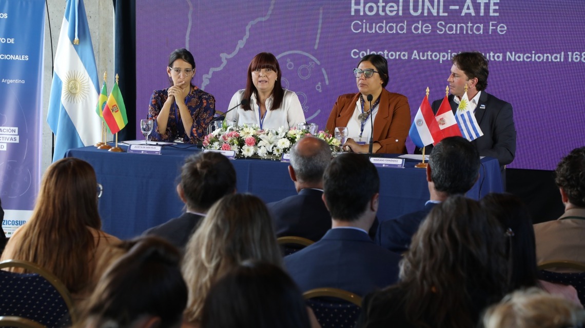 Se reunió la Comisión de Géneros y Diversidad y el Consejo Consultivo de representantes de RRII de la ZICOSUR