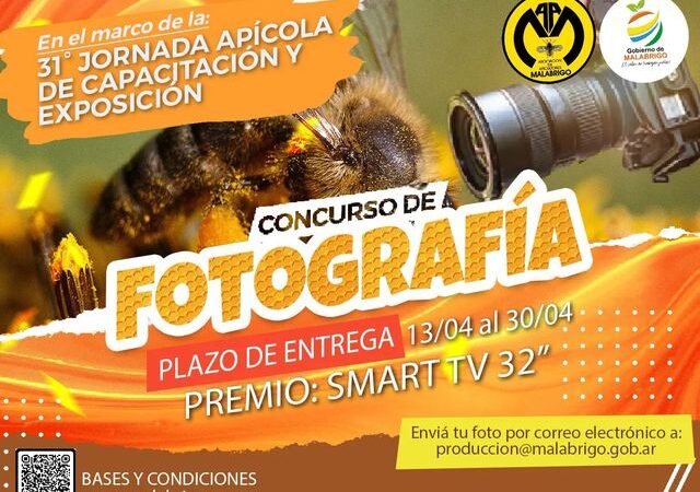 Concurso de fotografía durante la 31ª Jornada Apícola