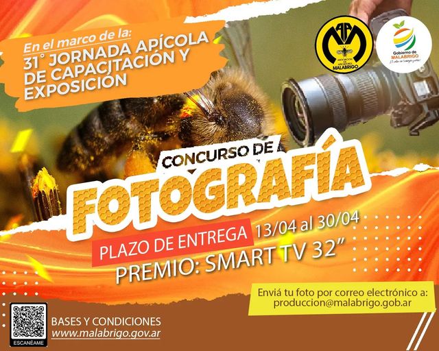 Concurso de fotografía durante la 31ª Jornada Apícola