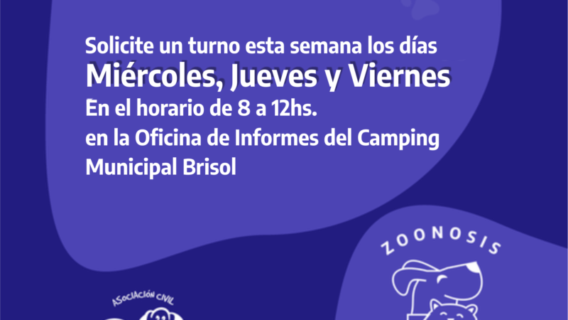 El quirófano móvil atiende en el Camping Brisol