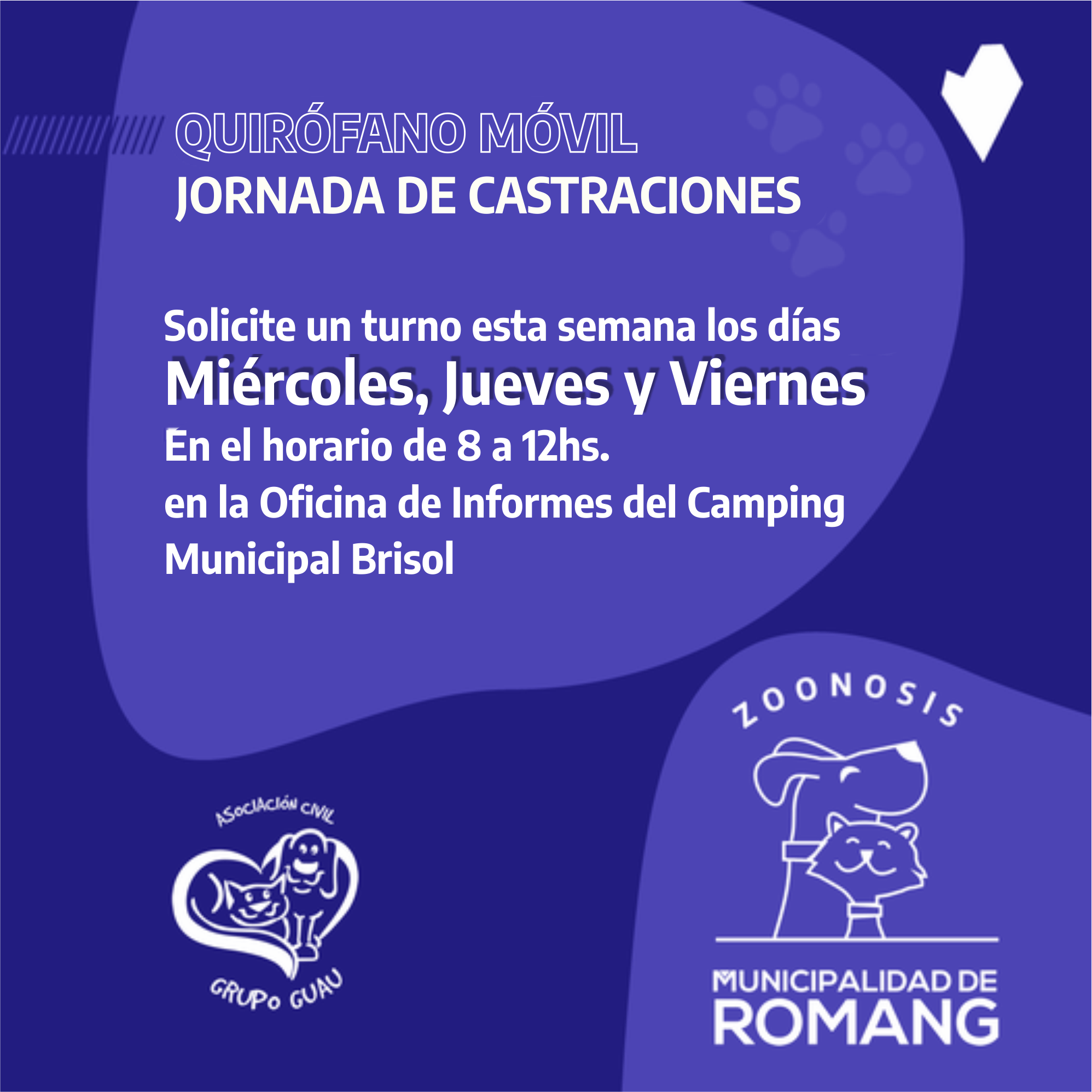 El quirófano móvil atiende en el Camping Brisol