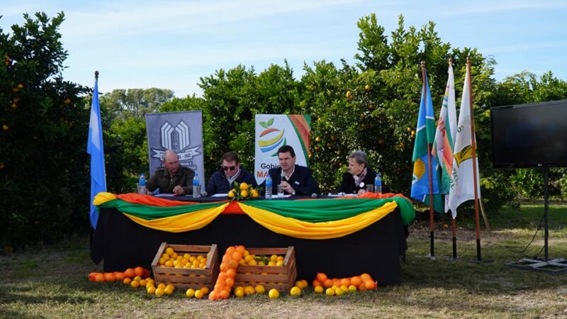 Malabrigo: Presentaron balance económico de la 31° Fiesta Provincial del Citrus 2022