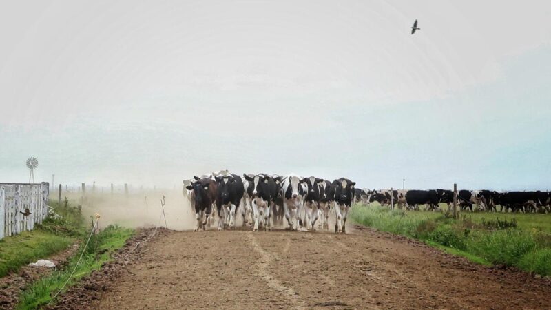 Caminos de la Ruralidad, ya benefició a medio centenar de localidades de Santa Fe