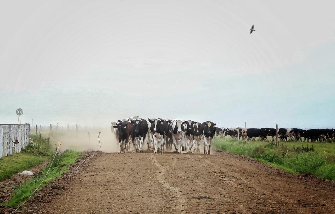 Caminos de la Ruralidad, ya benefició a medio centenar de localidades de Santa Fe