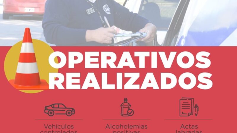 Operativo vehicular y de alcoholemia en Avellaneda
