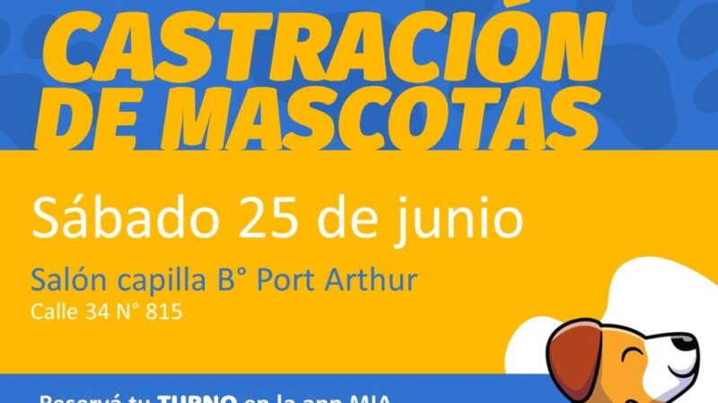 Castración de mascotas en Avellaneda