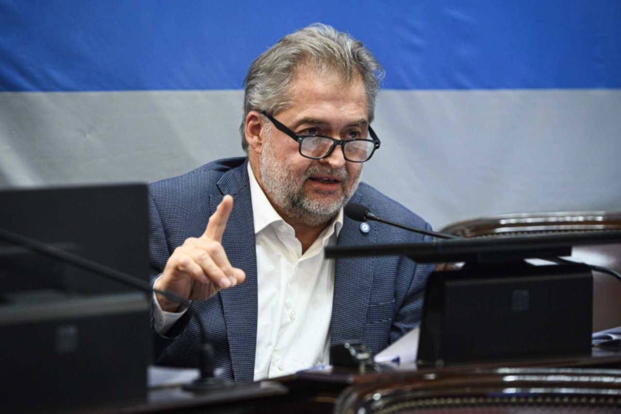 Mirabella presentó un proyecto para distribuir equitativamente los subsidios al transporte