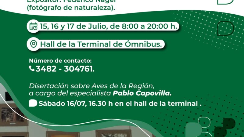 Conocé la fauna avícola en la costa de Reconquista