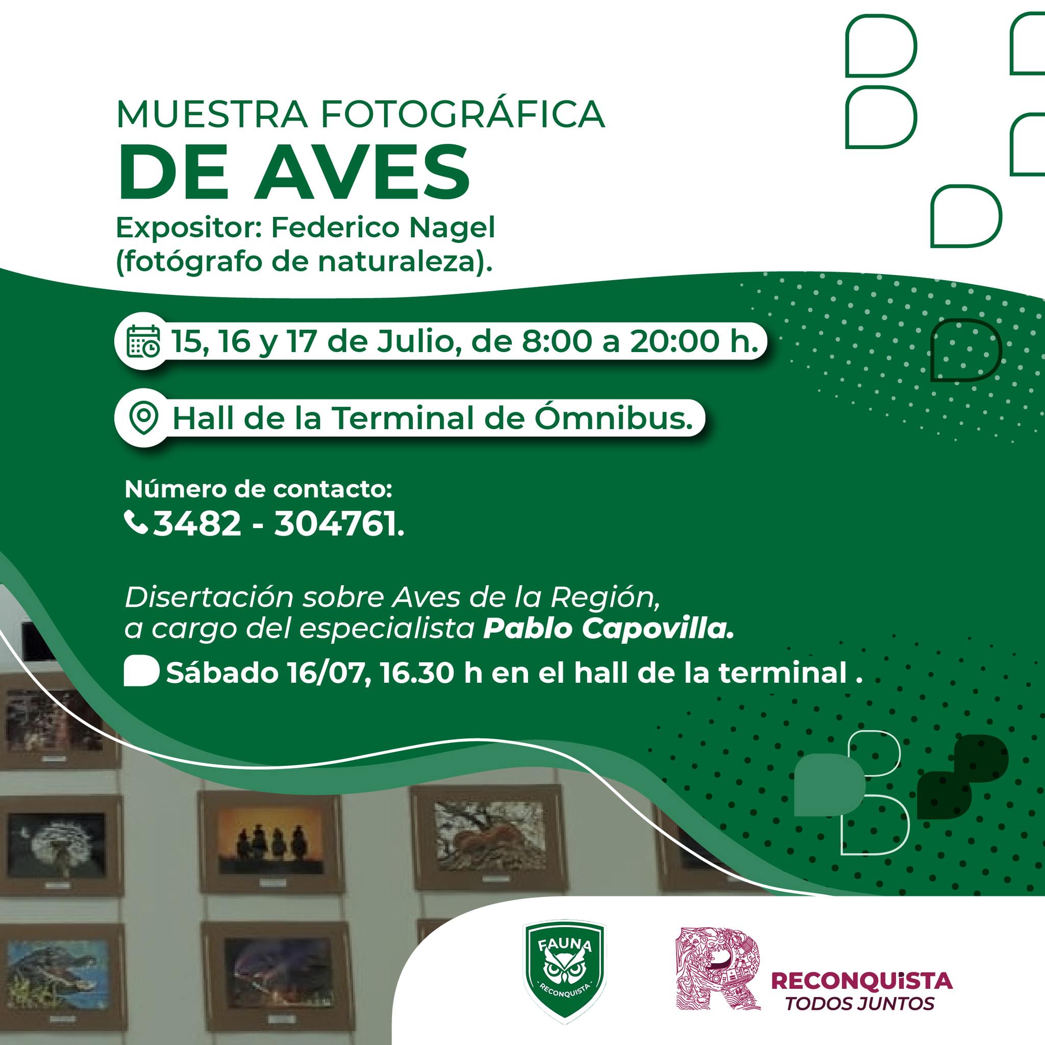 Conocé la fauna avícola en la costa de Reconquista