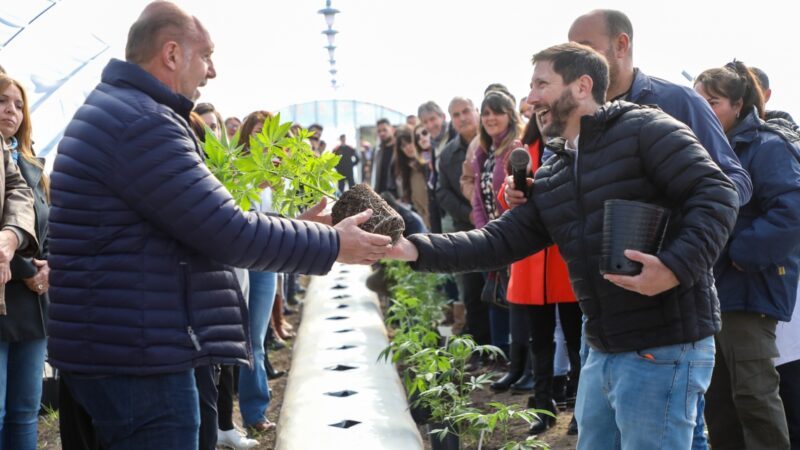 Perotti participó del inicio de cultivo de cannabis medicinal
