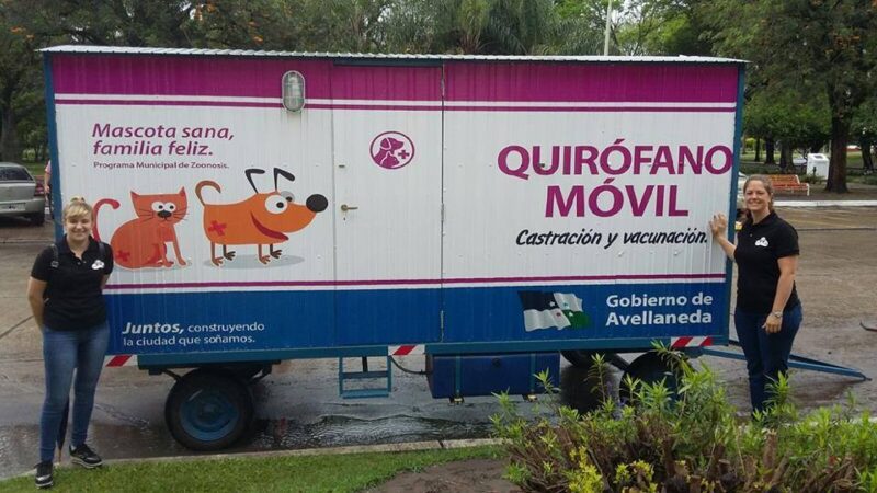 Avanza el programa de castración de mascotas