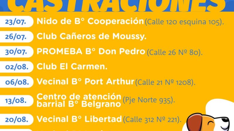 Avellaneda intensifica la campaña de castraciones