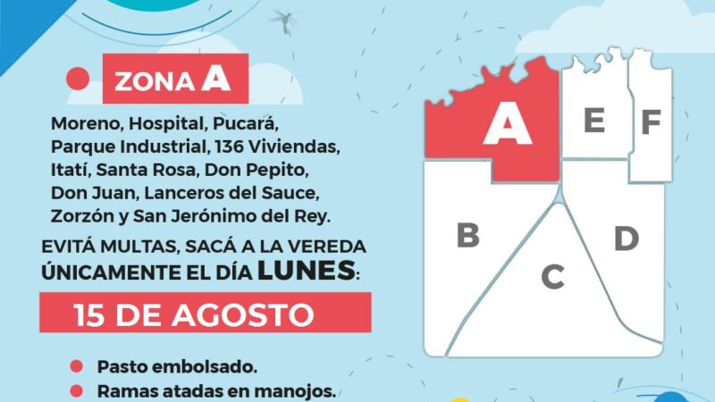 Lunes 15 de Agosto: Patio Limpio en Zona A