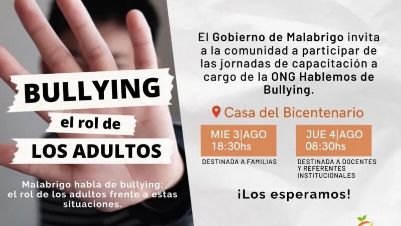 Cómo actuar frente al bullying, guía para padres y docentes