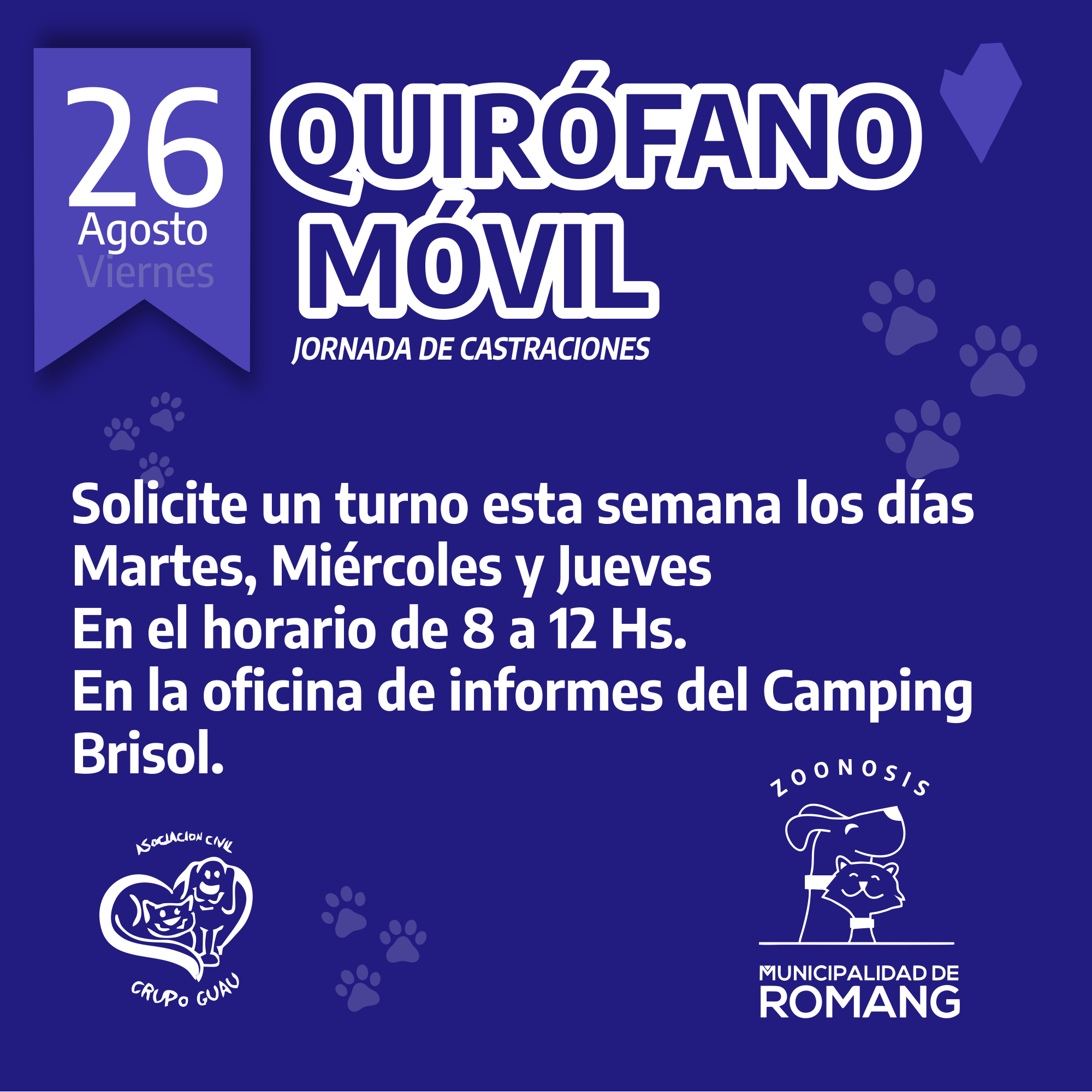 Jornada  de castraciones de mascotas en Romang