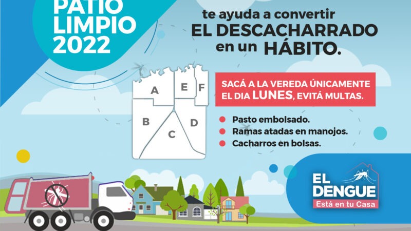 Lunes 22 de agosto: Patio Limpio en zona B