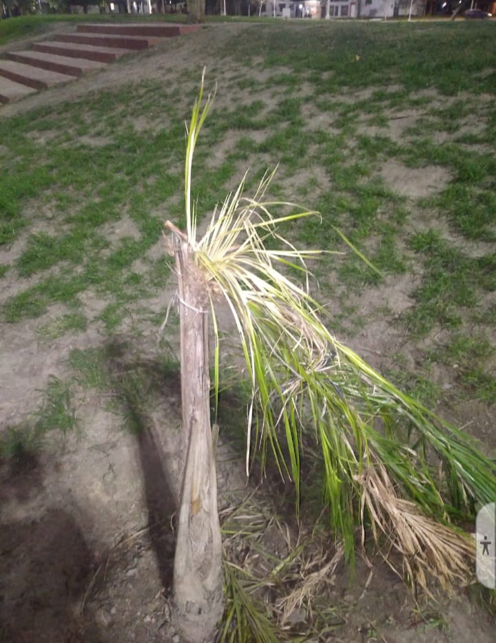 Vandalizaron el nuevo anfiteatro de Reconquista