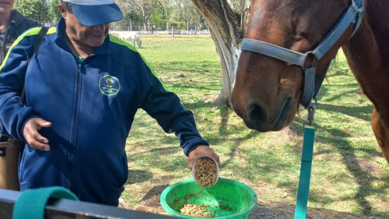 El centro de día Raíces participó del evento «Cabalgando juntos» en Reconquista