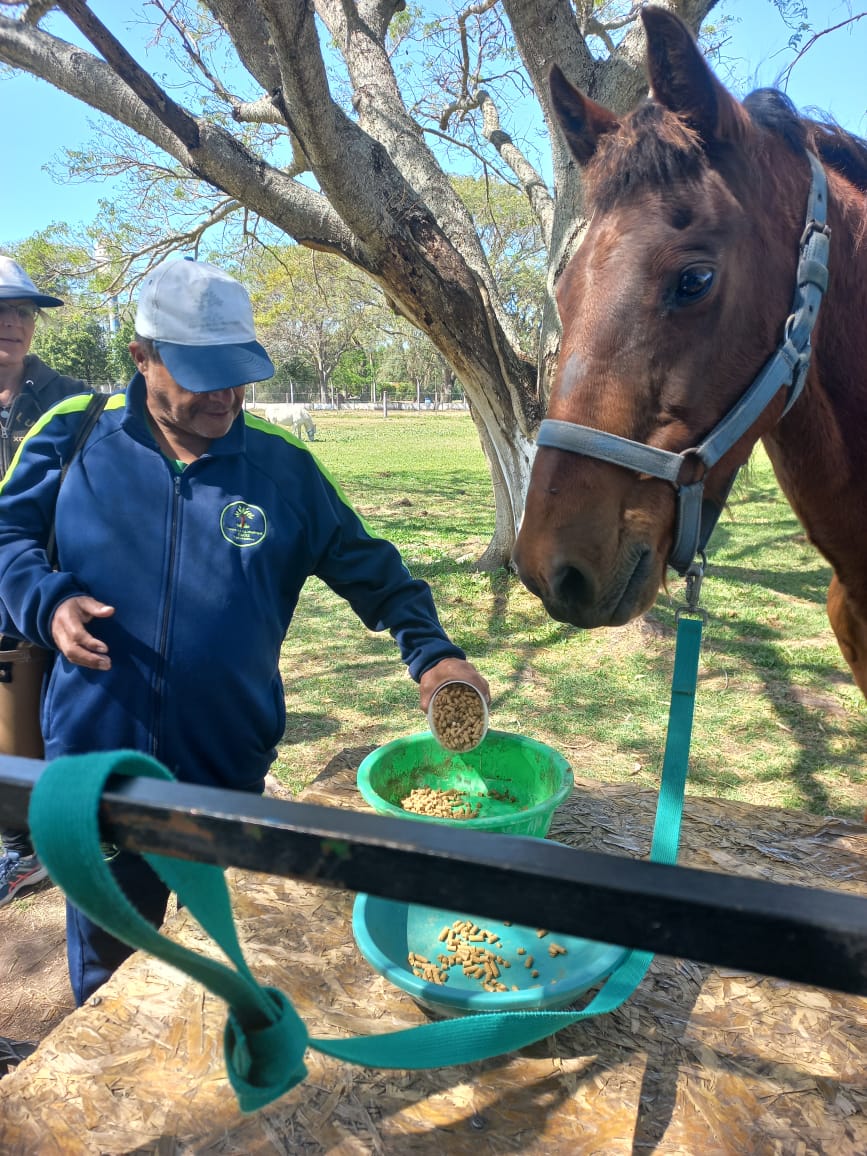 El centro de día Raíces participó del evento «Cabalgando juntos» en Reconquista