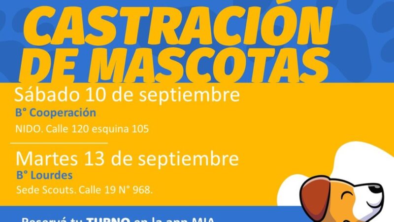 Castración de mascotas en Avellaneda: Obtené tus turnos