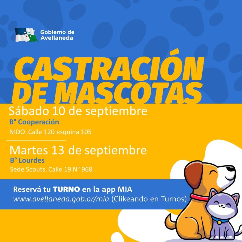 Castración de mascotas en Avellaneda: Obtené tus turnos