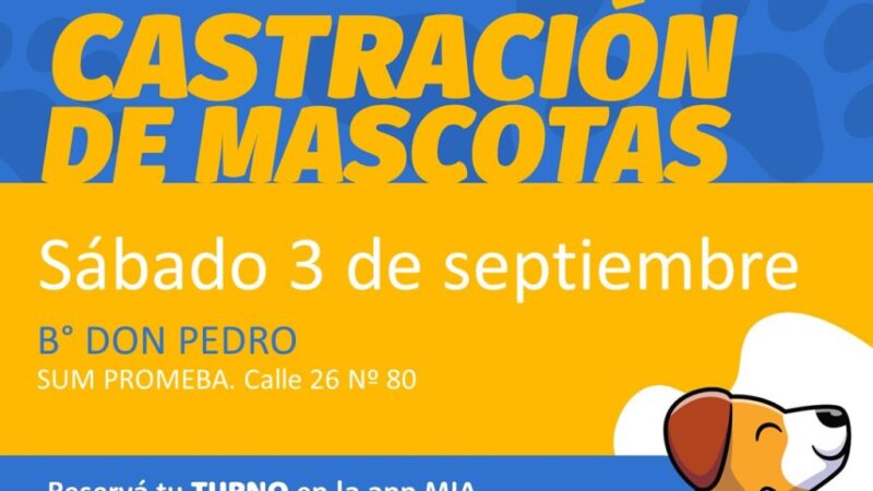 Castración de mascotas en Avellaneda: Gestionó turnos online