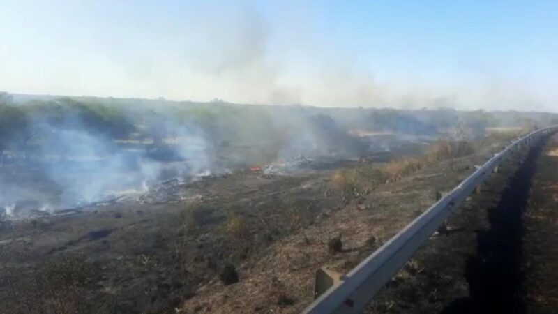 Bomberos sofocaron incendio de pastizales en Ruta 11