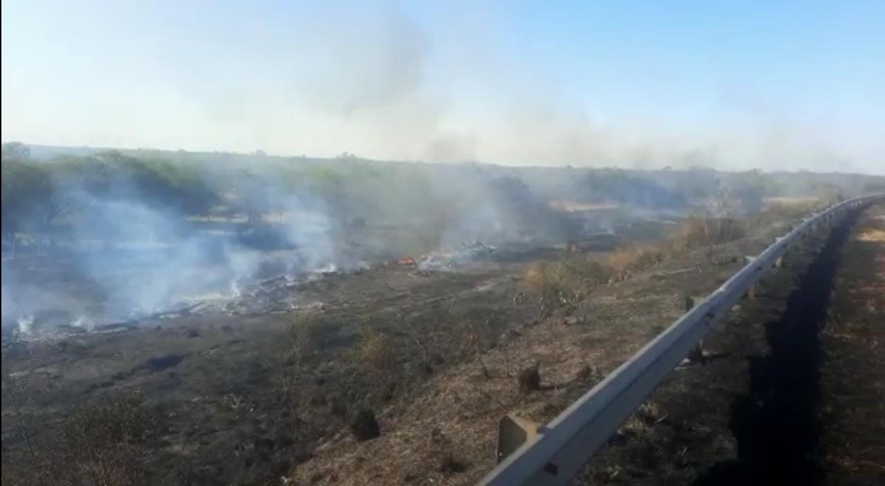 Bomberos sofocaron incendio de pastizales en Ruta 11