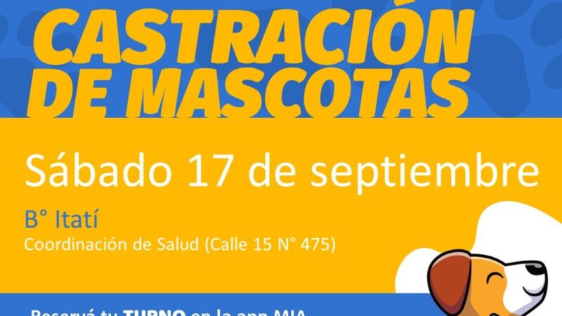 Castración de mascotas en Avellaneda: este sábado se realiza en Barrio Itatí