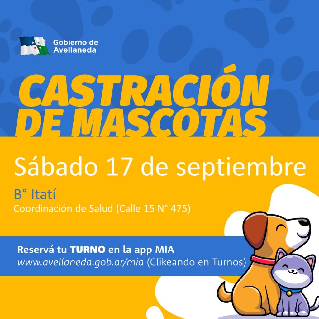 Castración de mascotas en Avellaneda: este sábado se realiza en Barrio Itatí
