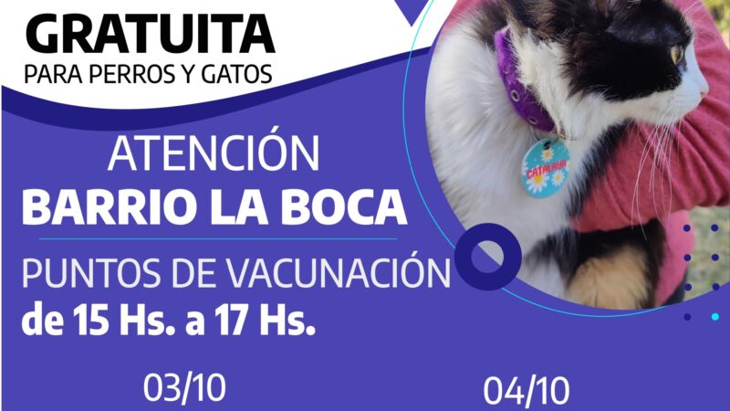 Romang: vacunación antirrábica en Barrio La Boca