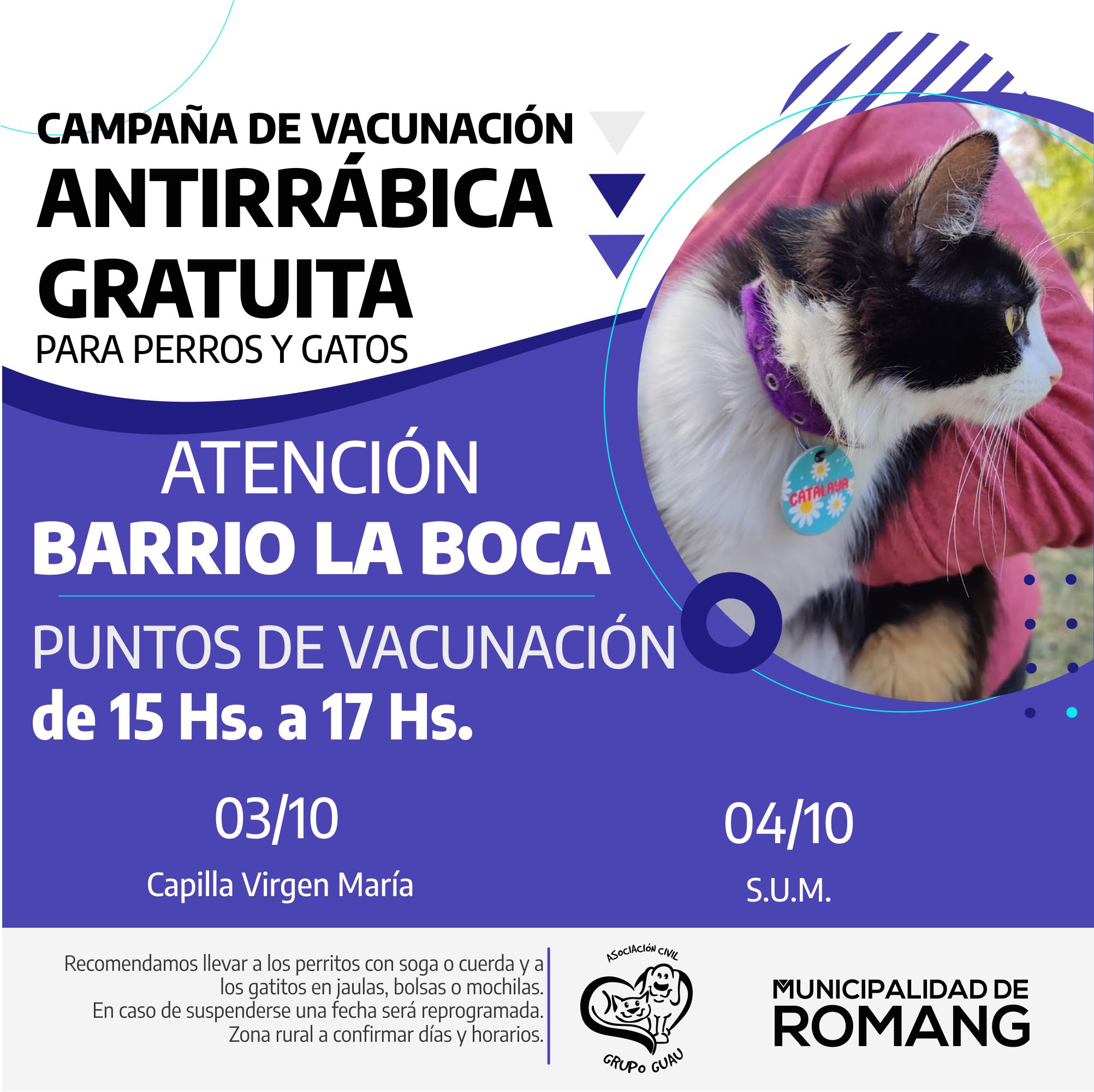 Romang: vacunación antirrábica en Barrio La Boca