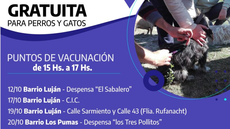 Cronograma de vacunación antirrábica en Romang