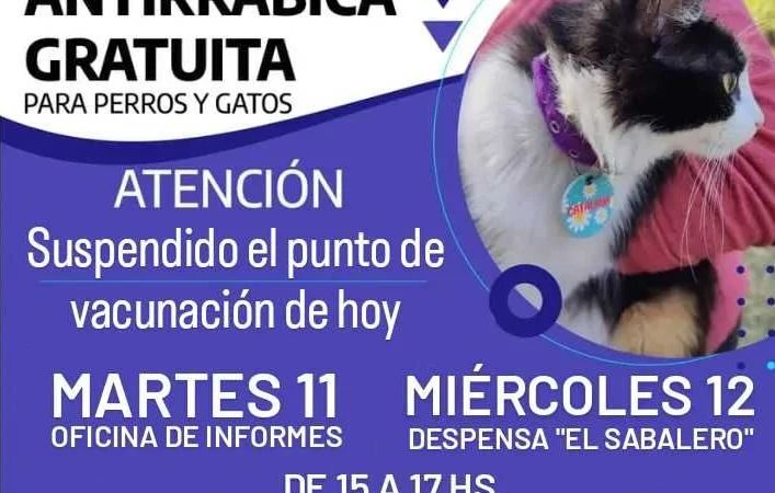 Comenzó la vacunación antirrábica en Romang