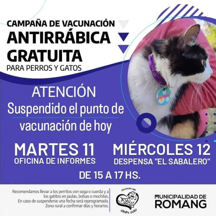 Comenzó la vacunación antirrábica en Romang