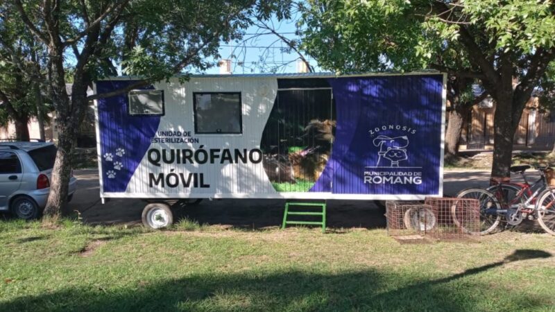 Romang: Campaña de Vacunación Antirrábica