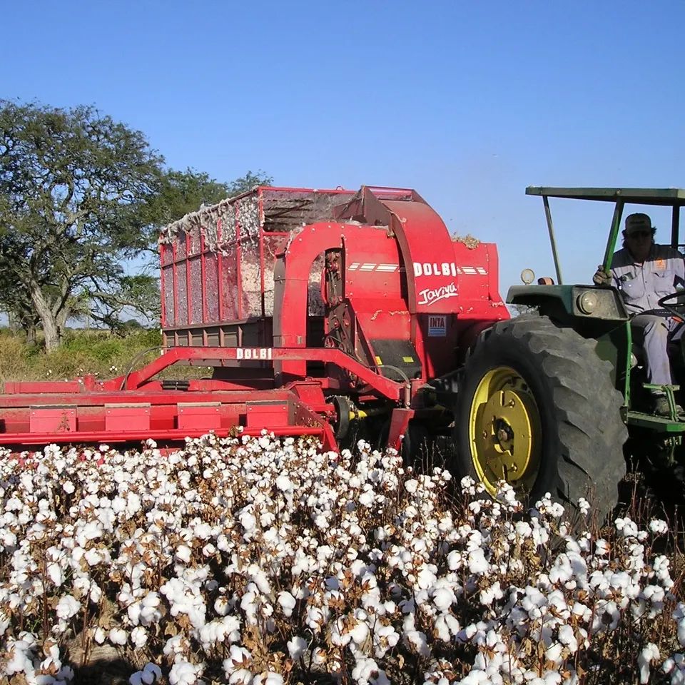 Línea de créditos sin interés para algodoneros de Romang