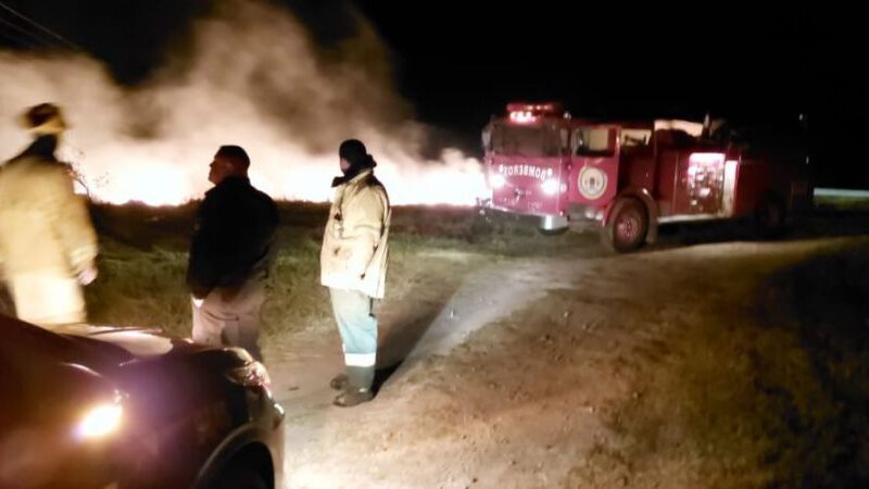 Los Bomberos acudieron a un incendio de banquina en Malabrigo