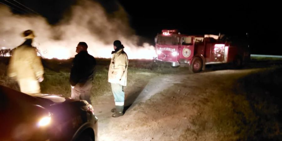 Los Bomberos acudieron a un incendio de banquina en Malabrigo