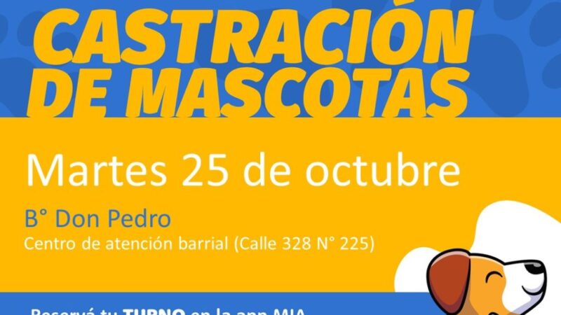 Avellaneda: Este martes castran mascotas en Barrio Don Pedro