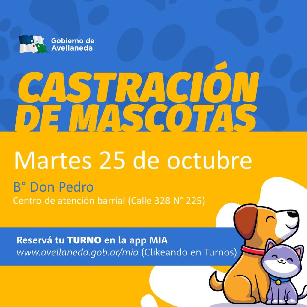 Avellaneda: Este martes castran mascotas en Barrio Don Pedro