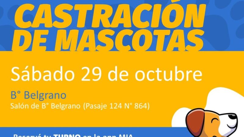 Avellaneda: habilitan el turnero para castraciones